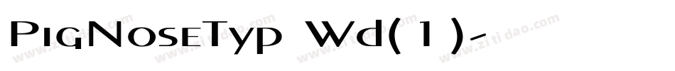 PigNoseTyp Wd(1)字体转换